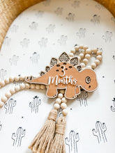 Load image into Gallery viewer, Dinosaur milestone