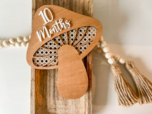 Load image into Gallery viewer, Mushroom milestone set