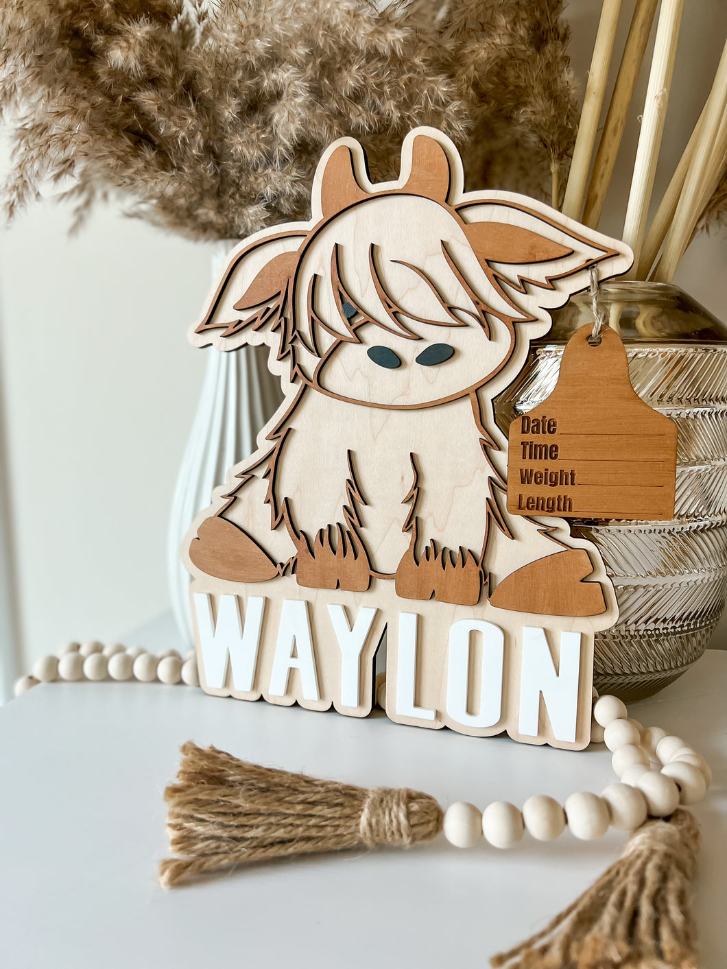 Highland cow birth stat