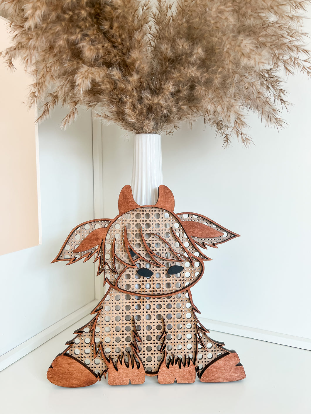 Highland cow sitting